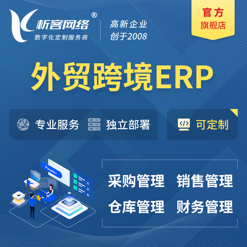 益阳外贸跨境ERP软件生产海外仓ERP管理系统