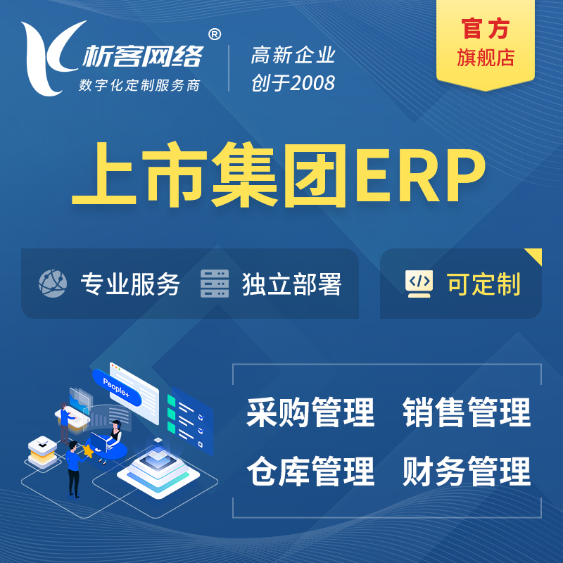 益阳上市集团ERP软件生产MES车间管理系统